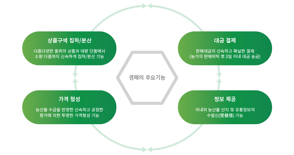 입력 필요